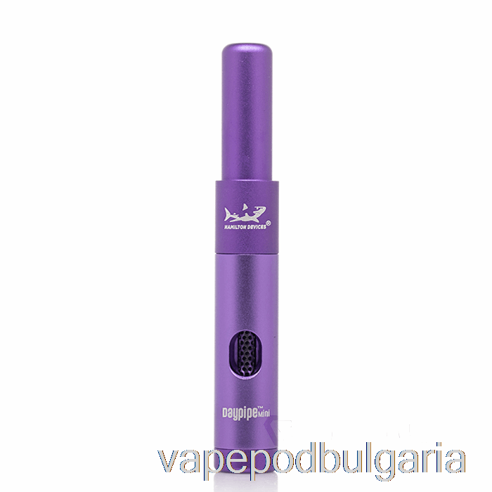 Vape 10000 Дръпки Hamilton Devices Daypipe Mini Purple